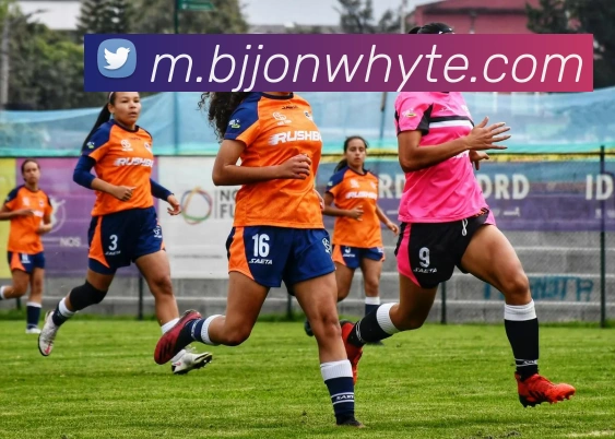 安博app官网地址全站App 安博app官网地址全站App